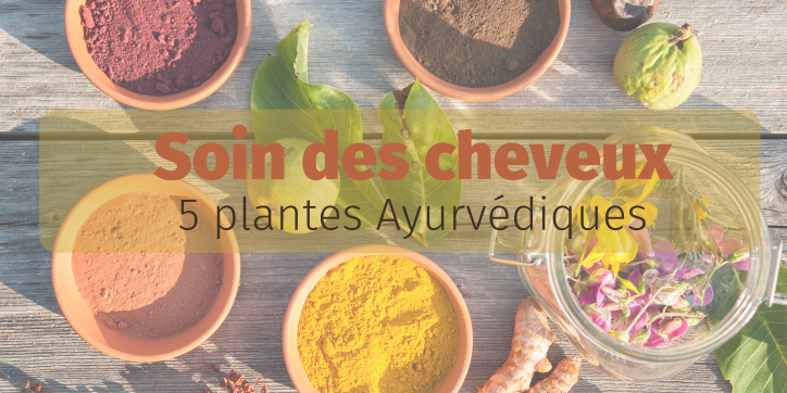 5 plantes ayurvédiques