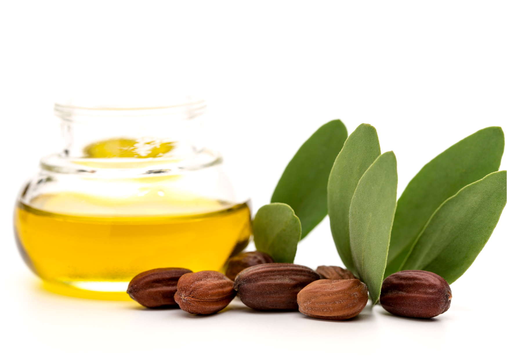 huile vegetale cheveu, huile de jojoba fibre capillaire, huile pour chevex secs, anti chute, activateur de pousse des cheveux