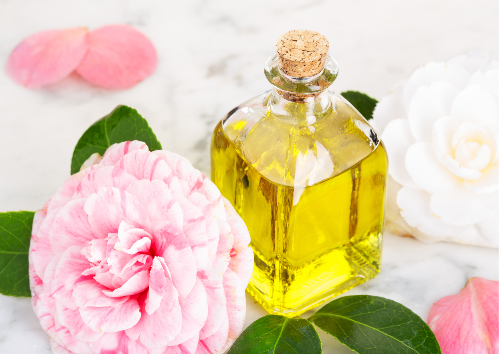 huile vegetale, huile végétale, cheveu, pousse des cheveux, huiles pour le cuir chevelu, jojoba, huile de jojoba, ricin, nigelle, soin aux huiles végétales, macérât huileux, masque à l'huile cheveu