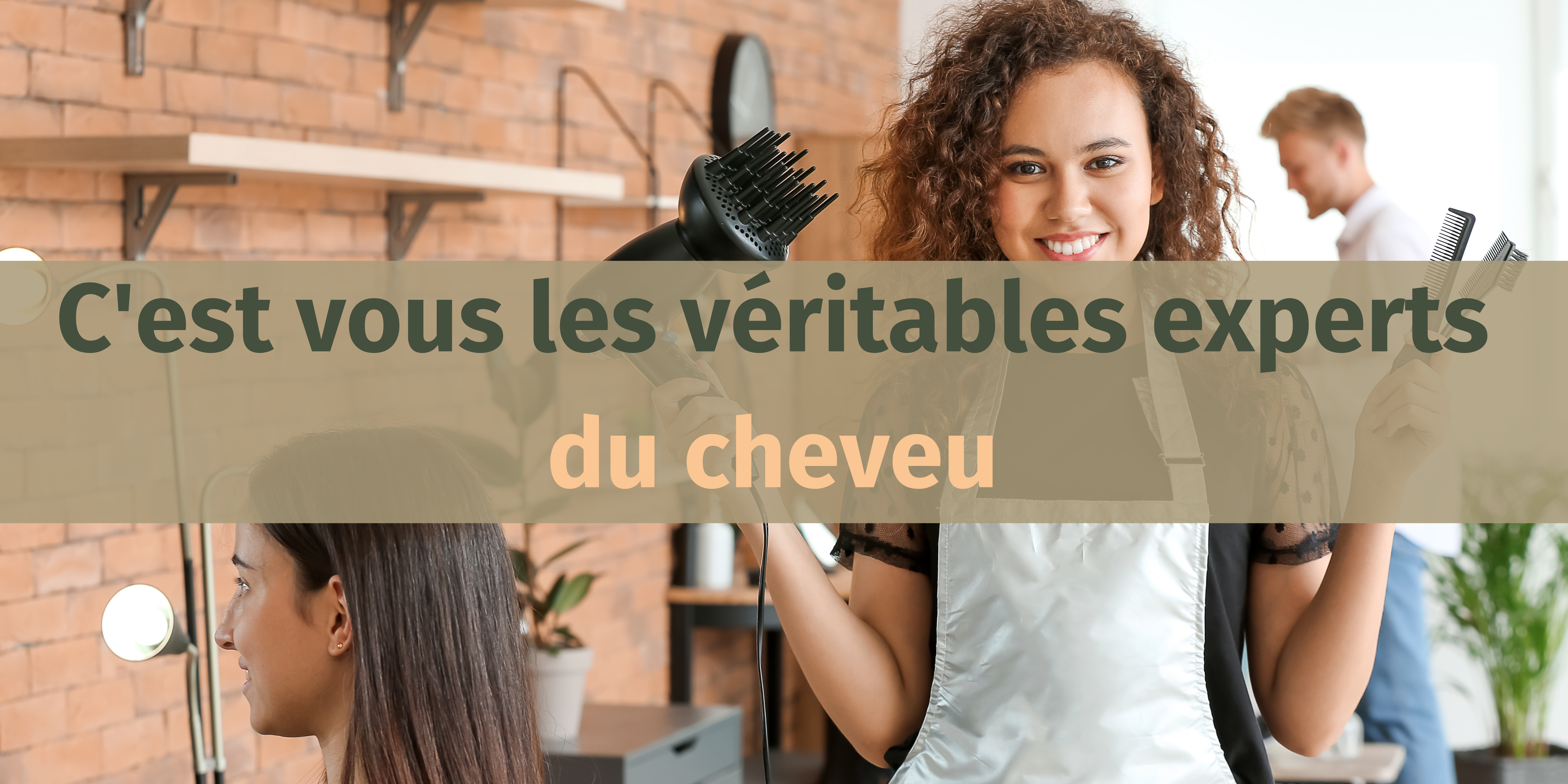 Cheveu, coiffeurs, coiffeuses, authentique coloration végétale, 100% naturelle et 100% poudres de plantes