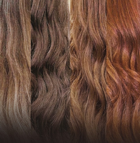 BANNER-4-2.jpg